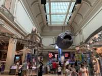 img_2382_small.jpg