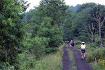 Rollin' through scenic Green Cove