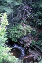 The view from one of many stream crossings